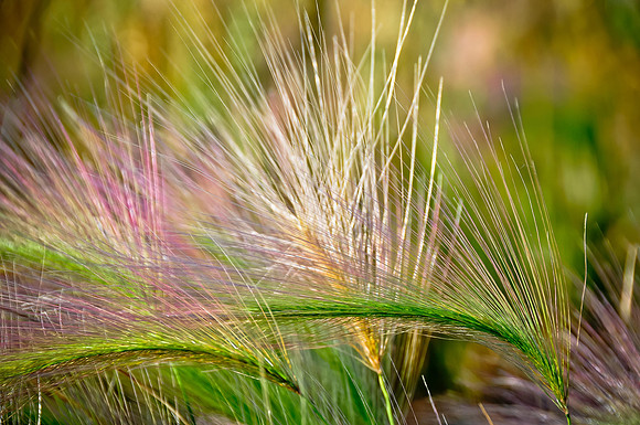 _DSC6179