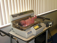 Gracelynn