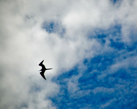 20100208-_DSC1155