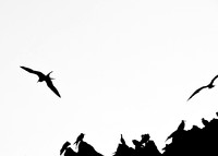 20080408-_DSC1180