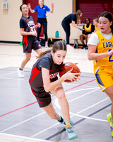 Taber Christian Tournament