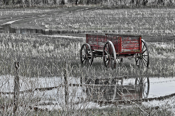 _DSC5050-2