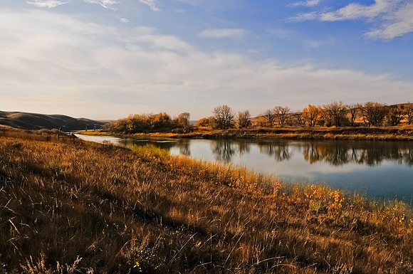 _DSC7541