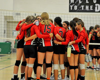 Foxes Volleyball 2024