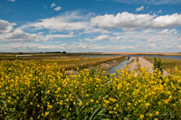Agriculture